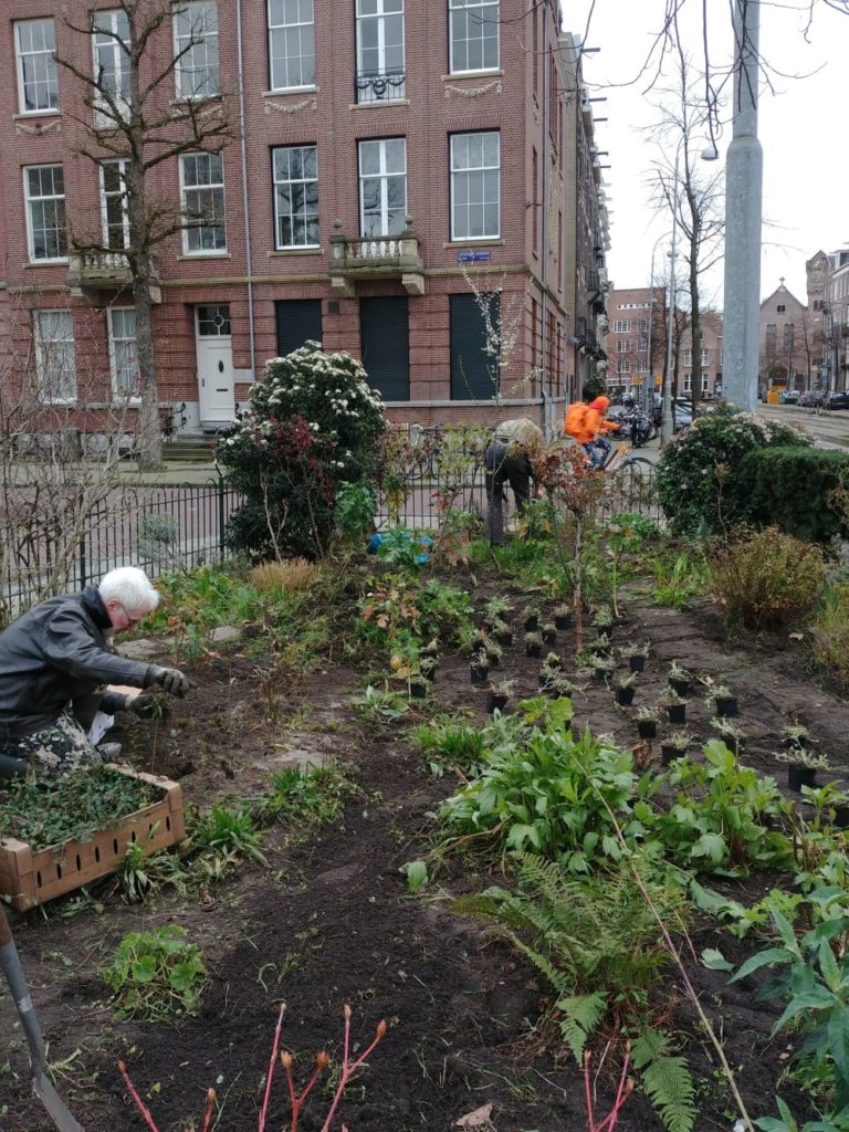 nieuwe planten Johannes Vermeerplein