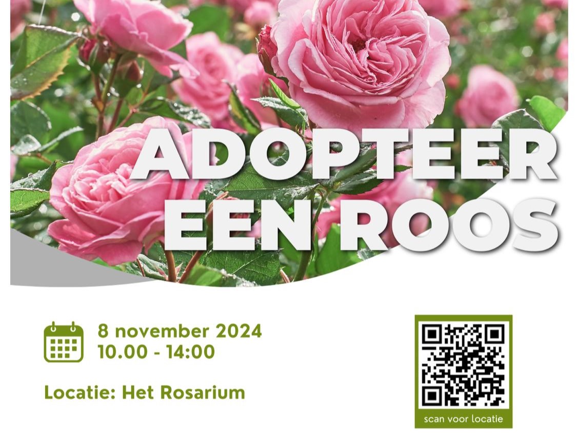 Adopteer een roos